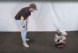 1 ai humanoid robot learns to mimic human emotions and behavior.jpg