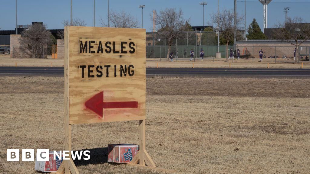 1338b8d0 12f4 11f0 8bc5 d317b6dd5c85.jpg