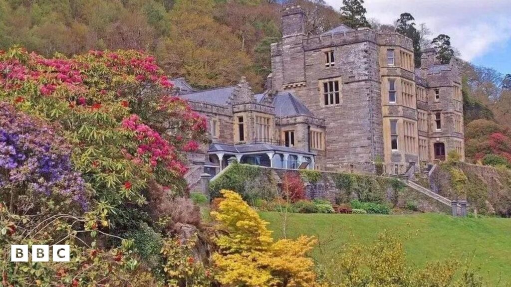 1e7f1850 25a6 11f0 a4b5 cf8d960fb818.jpg