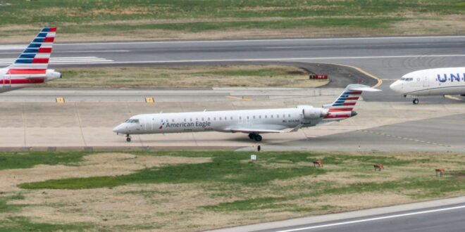 250410 wings clip reagan ew 227p 790504.jpg