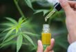 Cbd could calm kids wi.jpg