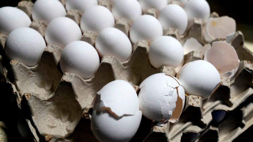 Skynews eggs su price 6881769.jpg