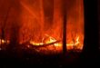 Skynews new jersey wildfire 6894495.jpg