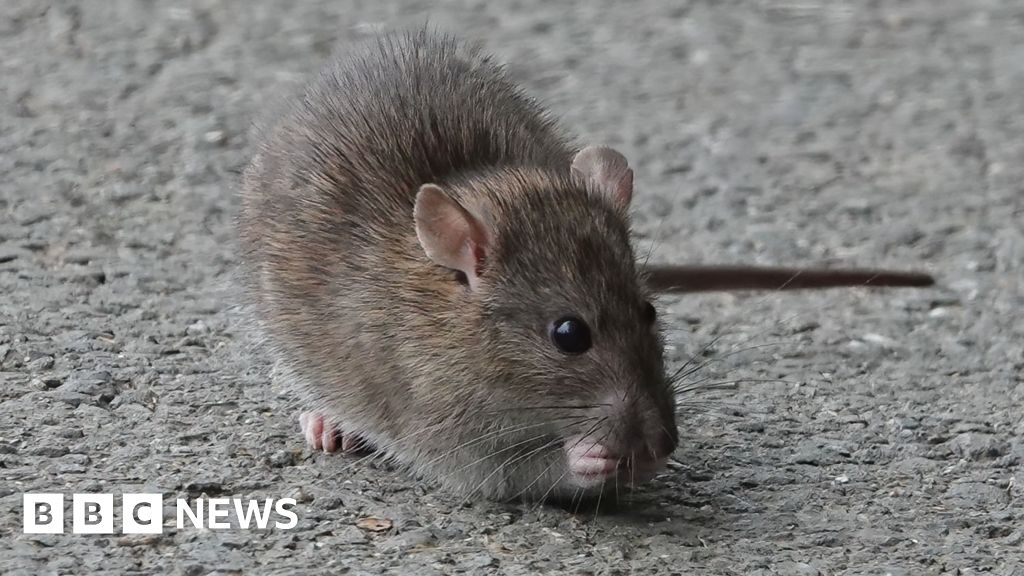 197d04e0 3607 11f0 8947 7d6241f9fce9.jpg