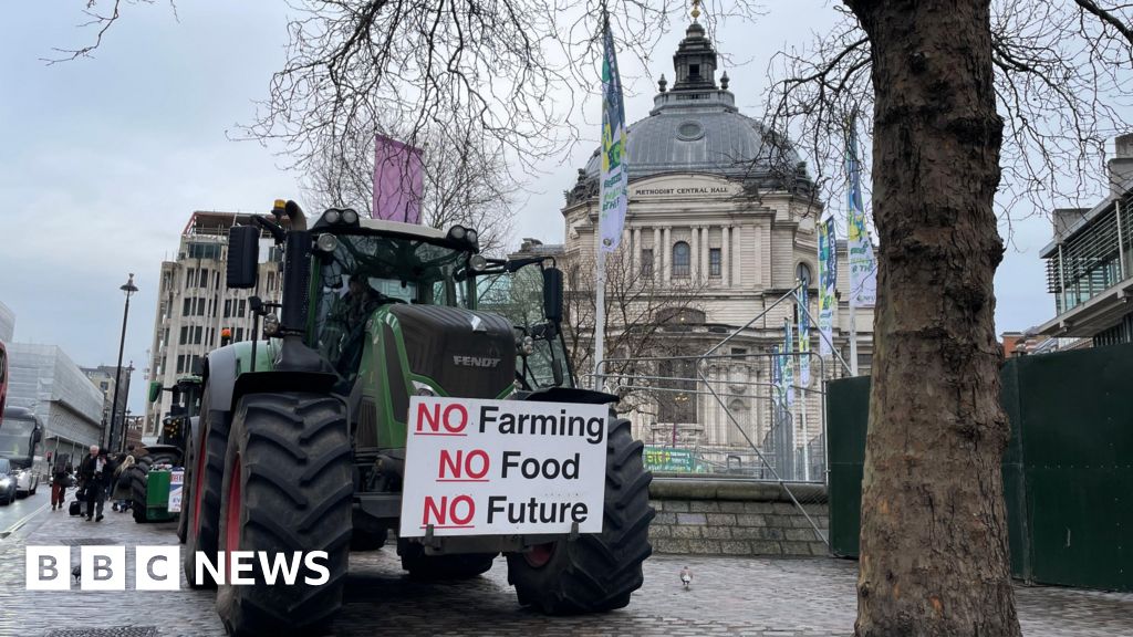 2f0ea830 3180 11f0 9705 29fcd10d0f7c.jpg