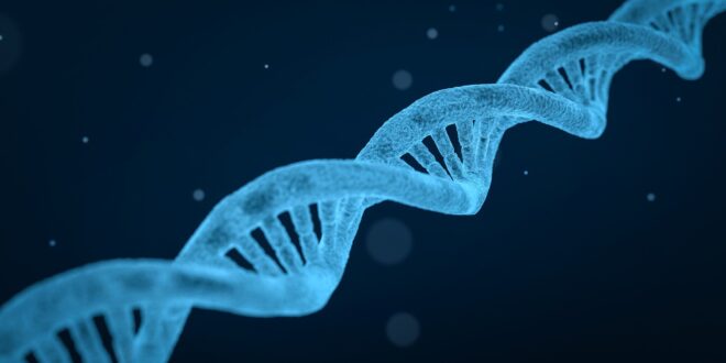 3 genetics.jpg