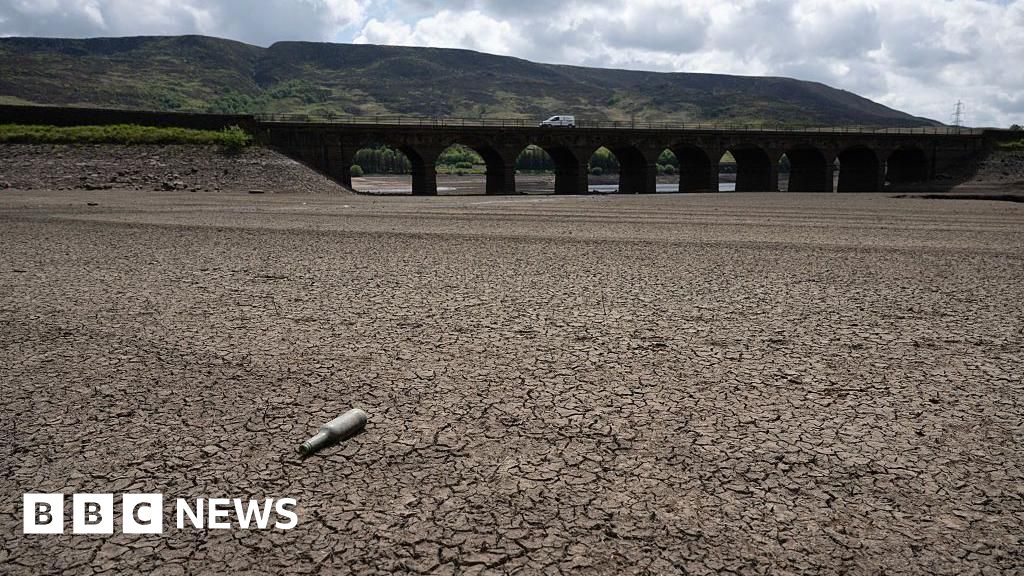 Aecedf50 3be8 11f0 babe b506cb370d70.jpg