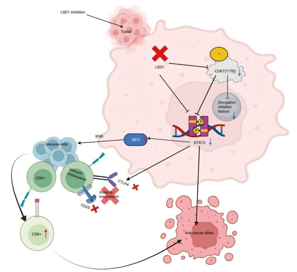 Targeting epigenetics.jpg