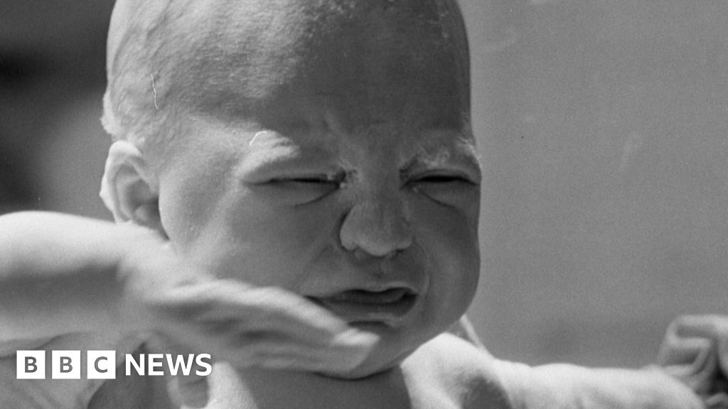 19c89350 5444 11f0 b4be 8f7caf53b80c.jpg