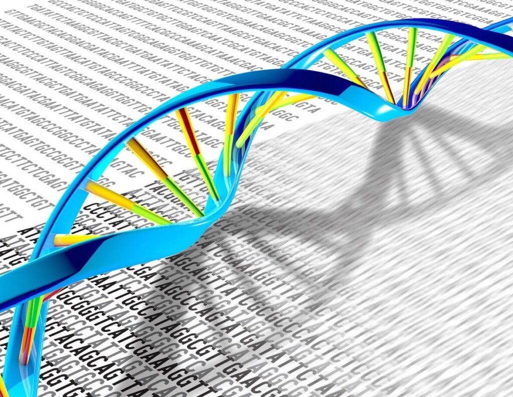 3 dna.jpg