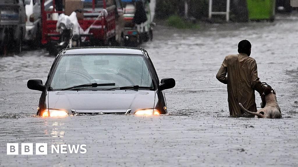 5006eb40 62ec 11f0 9af5 ebd4b3001234.jpg