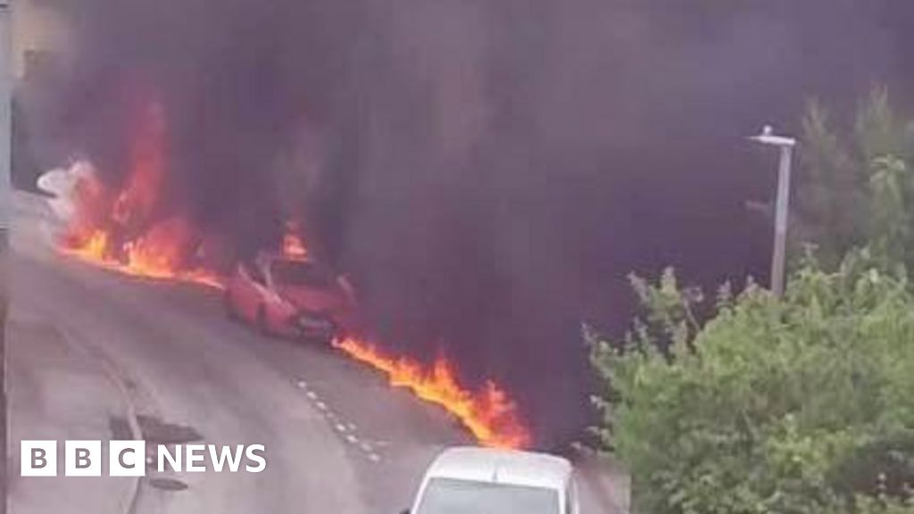 Dc827f40 61b5 11f0 9be7 837e00d9b7cb.jpg