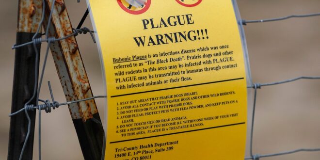 Plague sign.jpg