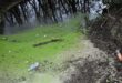 Skynews river thames slough 6967999.jpg