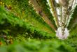 Vertical farm 2.jpg